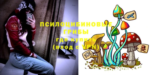 ГАЛЛЮЦИНОГЕННЫЕ ГРИБЫ Алексин