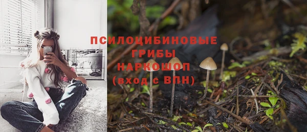 сатива Алексеевка