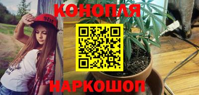МДПВ Гусев