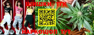 МДПВ Гусев