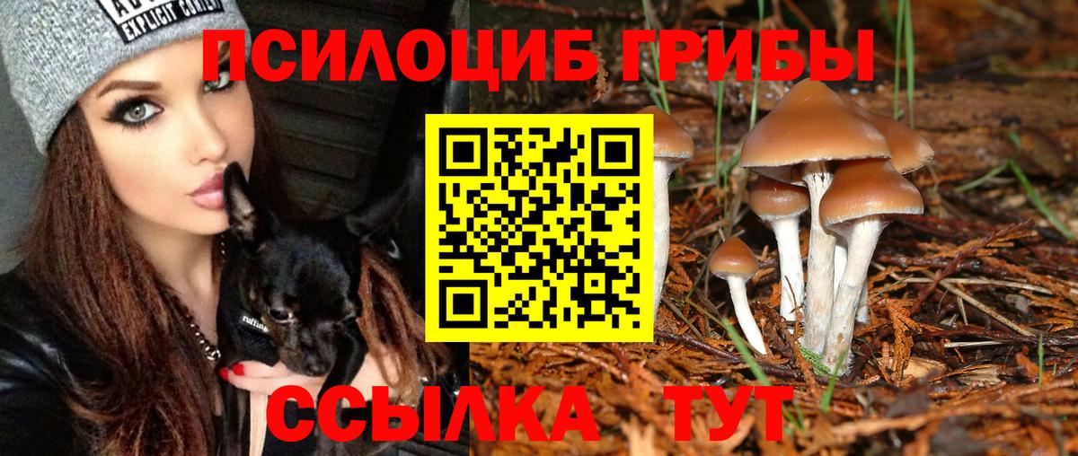 Старый Оскол  Галлюциногенные грибы прущие грибы  Вход с VPN  Псилоцибиновые грибы Psilocybine cubensis 