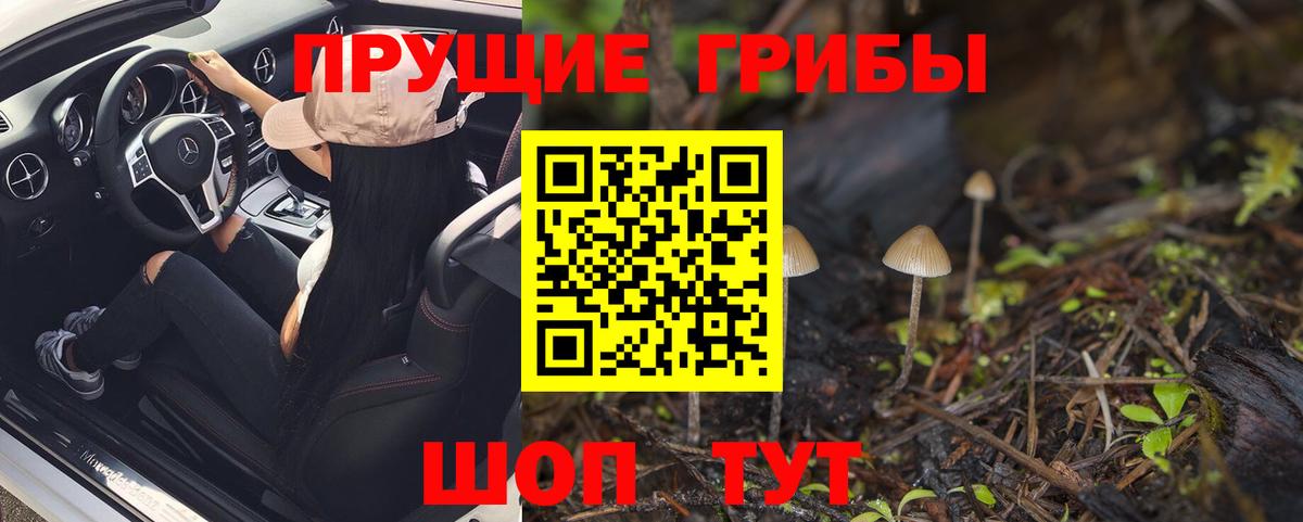 Галлюциногенные грибы GOLDEN TEACHER Старый Оскол